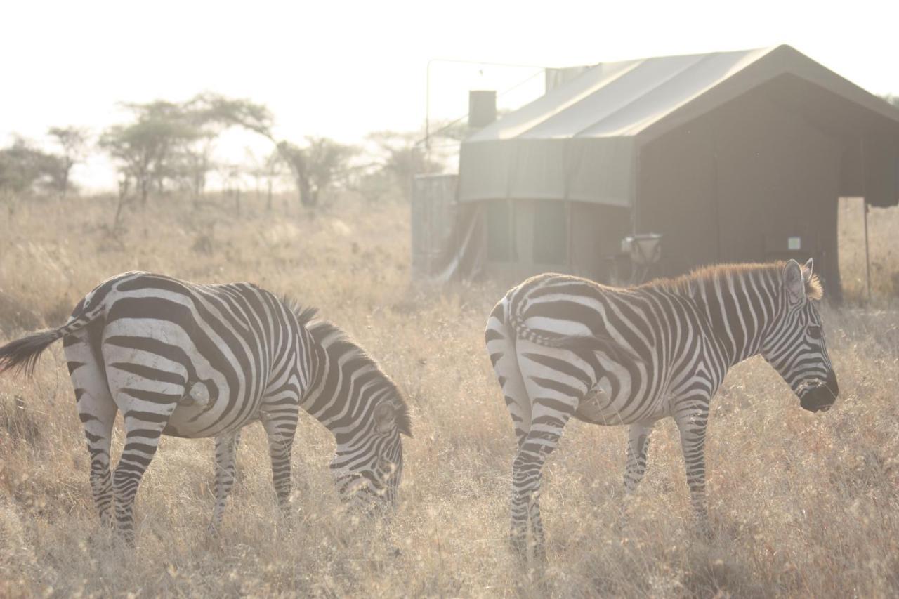 Kananga Special Tented Camp Banagi Luaran gambar