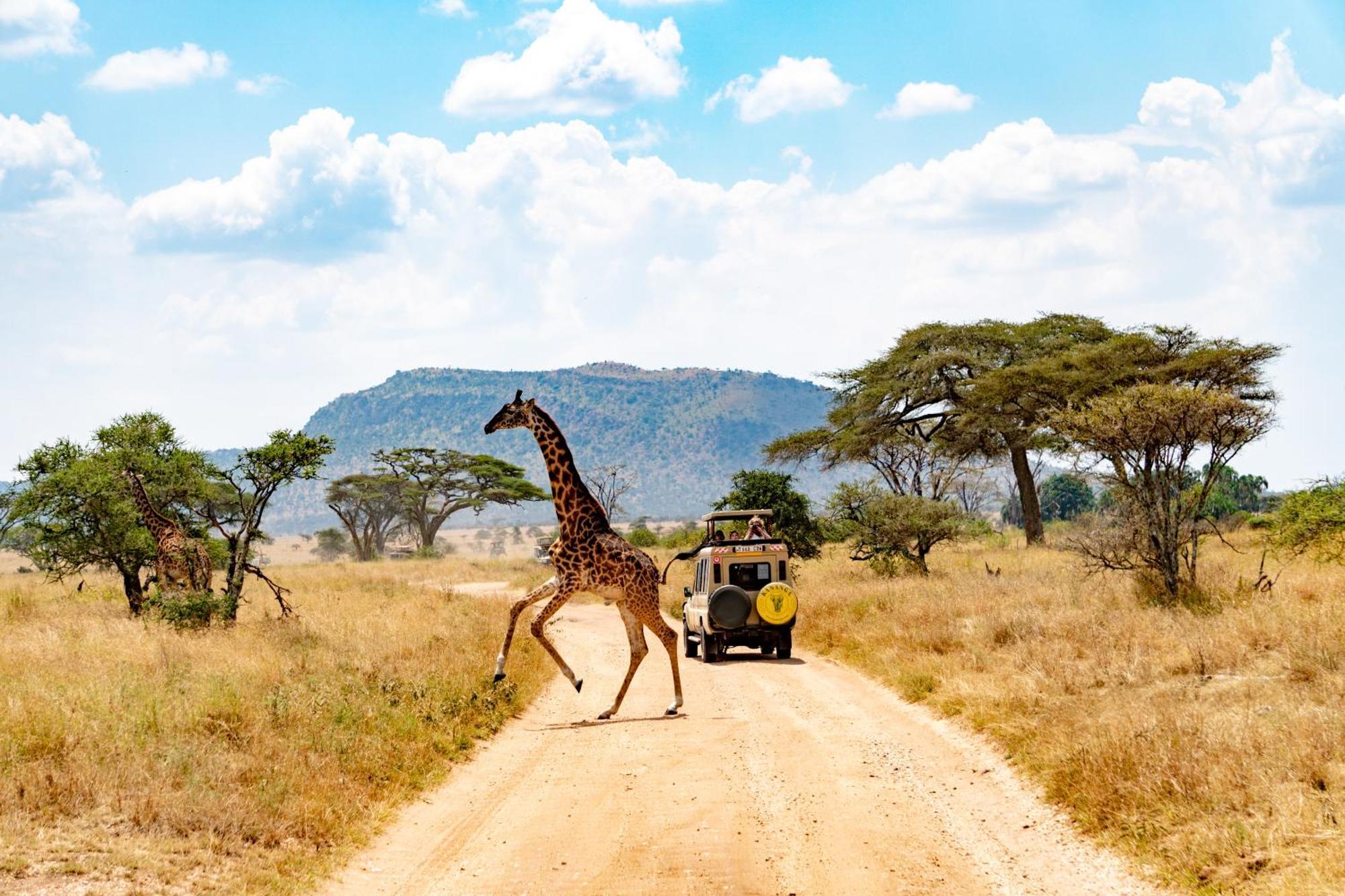 Kananga Special Tented Camp Banagi Luaran gambar