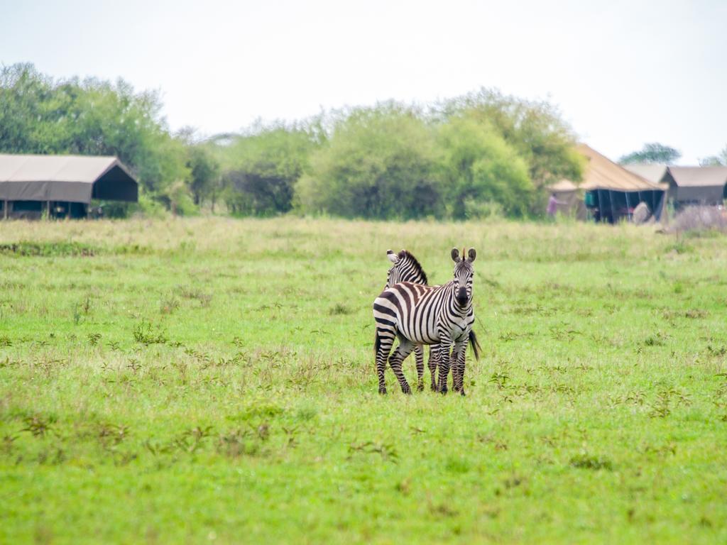 Kananga Special Tented Camp Banagi Luaran gambar